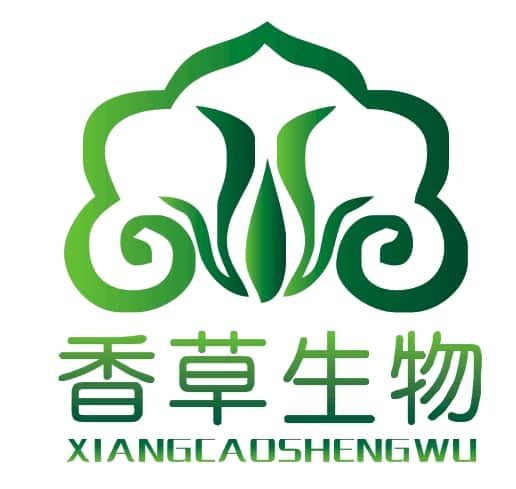 柳工工程机械维修专家，助您重机焕发新活力
